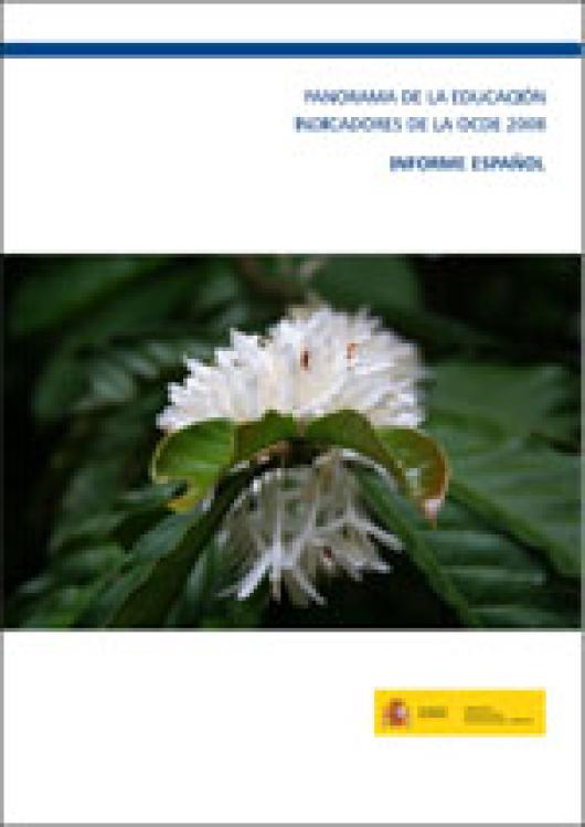 Panorama de la educación - Informe español 2008