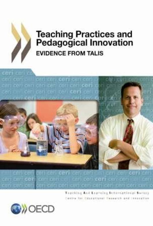Teaching Practices and Pedagogical Innovation: Evidence from TALIS