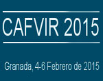 Foto de la Noticia - CAFVIR 2015: VI Congreso Internacional sobre Calidad y Accesibilidad de la For
