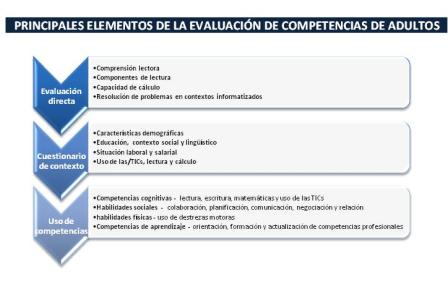 Principales elementos de la evaluación de evaluación de competencias de adultos