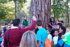 O bosque de Sabela. CEIP de Rubiáns (Pontevedra)